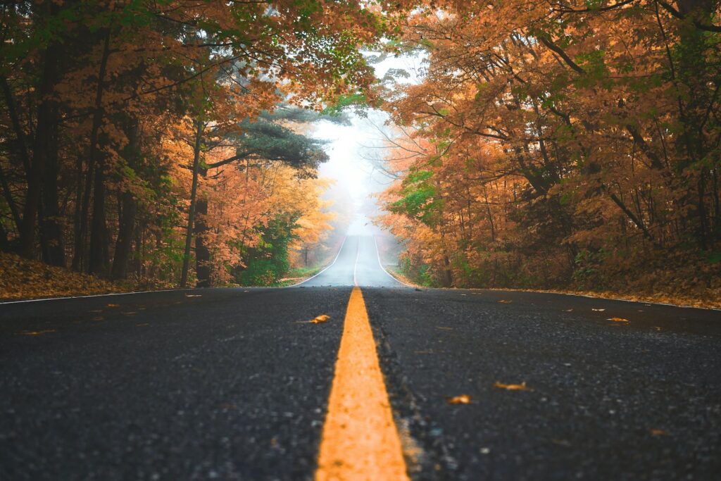 Journey on a road through trees