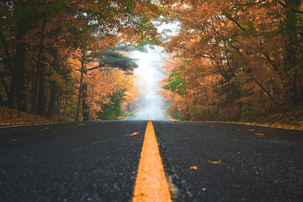 Journey on a road through trees
