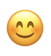 Blushing smiley emoji