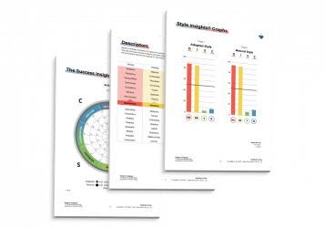 TTI SI DISC Assessment Pages